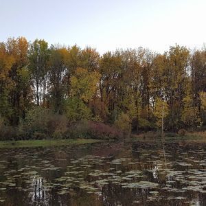 Meet your Posher, Ignacio